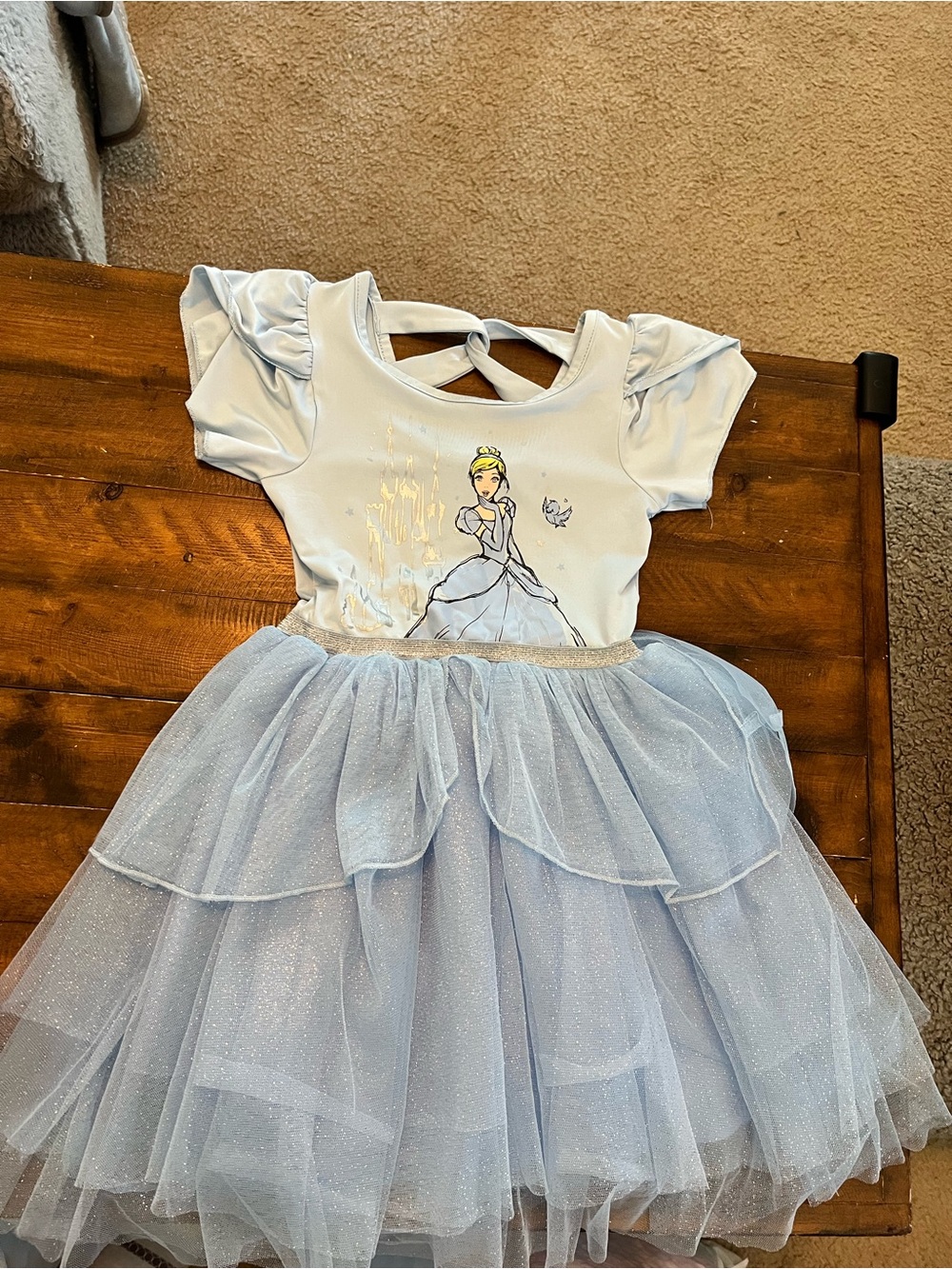 Disney Light Blue Cinderella Tulle Dress with Graphic Bodice